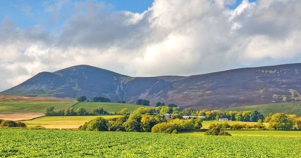 Image of the Tinto Hills