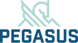 The organisation logo for Pegasus Healthcare Solutions Limited