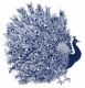 The organisation logo for Peacock Medicare Ltd