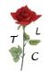 Image for The Laurandy Centre